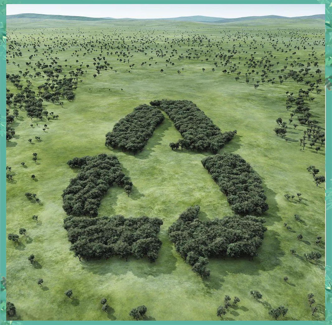 推进绿色消费 多部门详解新举措