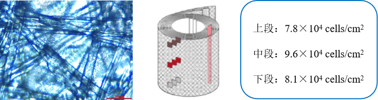远望谷拟定增募资6.91亿元 突破产能瓶颈开辟第二增长曲线