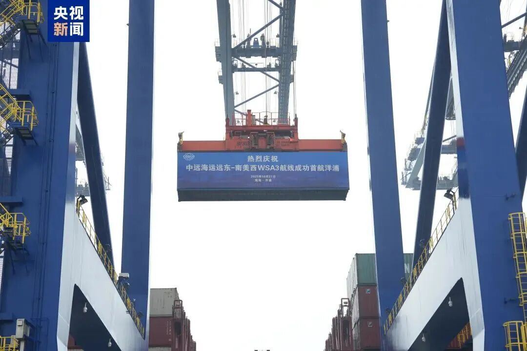 海南自贸港封关运作“满月”：洋浦看通关、订单与港航新变化