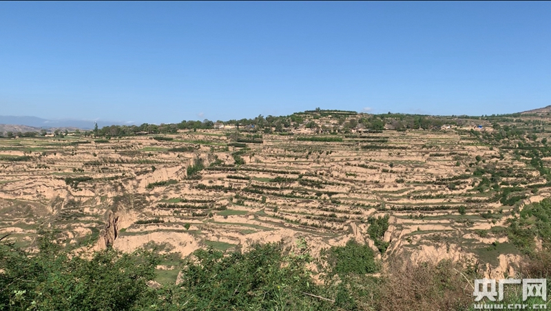 甘肃“保险+期货”模式纵深推进 打造特色农业保障体系