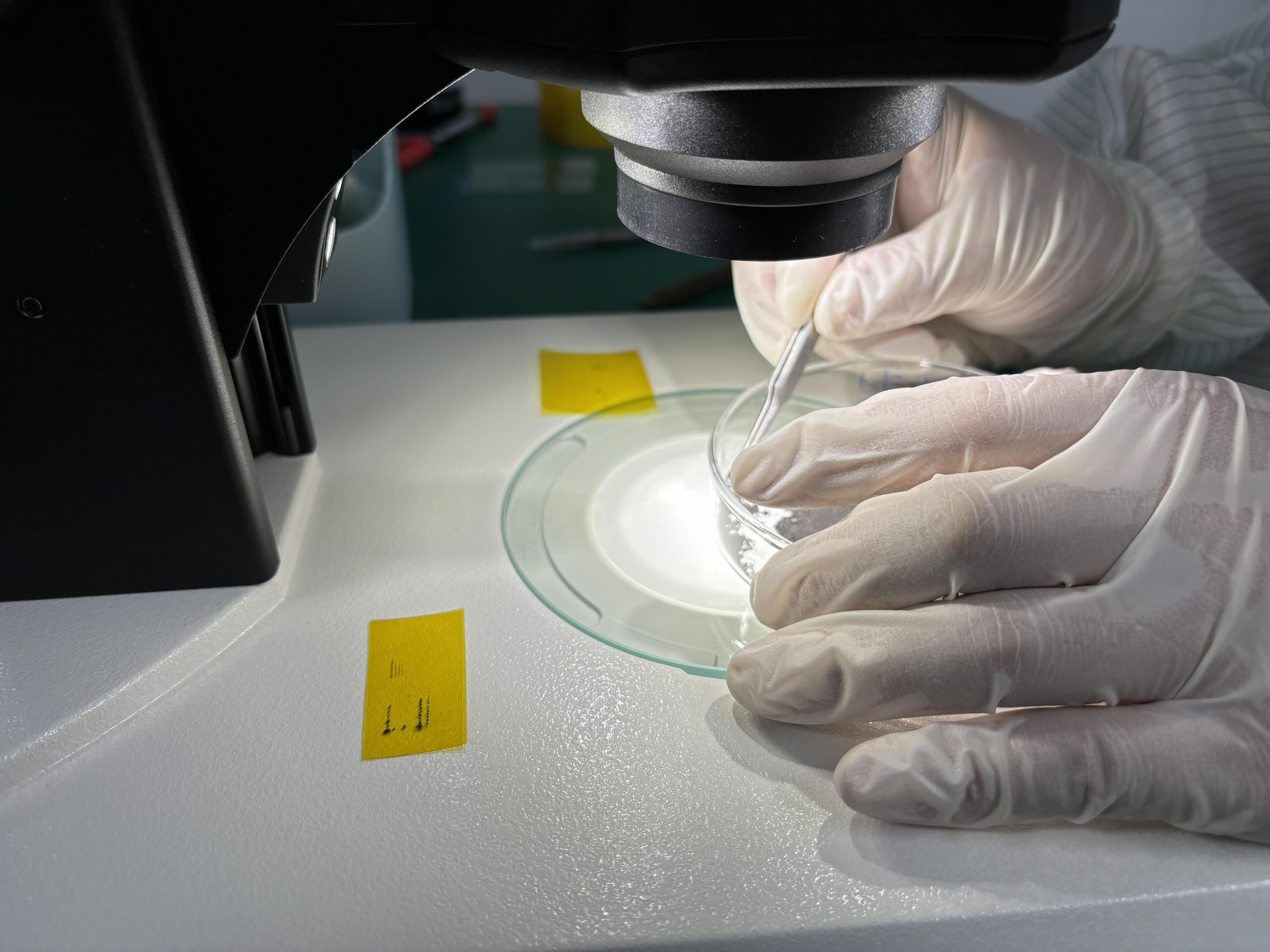 嫦娥六号月球样品中首次发现天然单壁碳纳米管与石墨碳