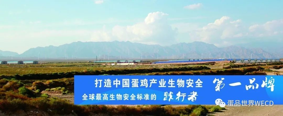 鸣鸣很忙启动招股 拟于1月28日在港交所挂牌上市