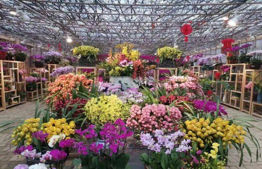 农业农村部发布乡村休闲旅游冬季精品景点线路