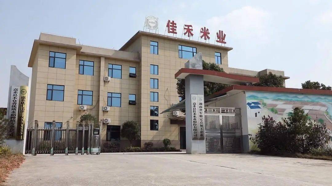 华资实业董事长张志军：以技术破局 促粮食加工产业向高值化跃迁