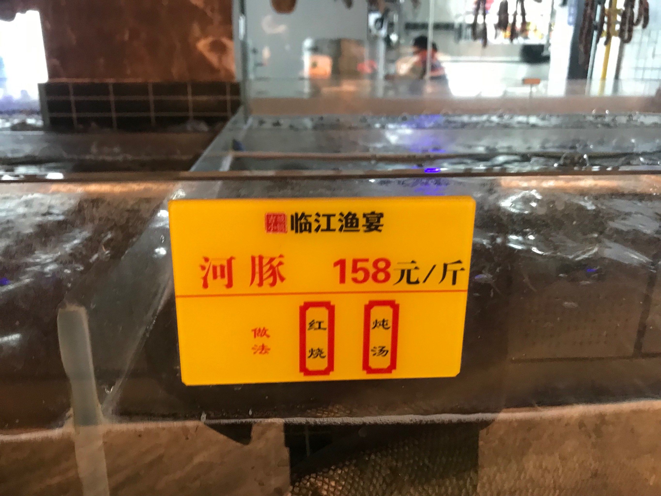 1426头!长江江豚数量实现恢复性增长