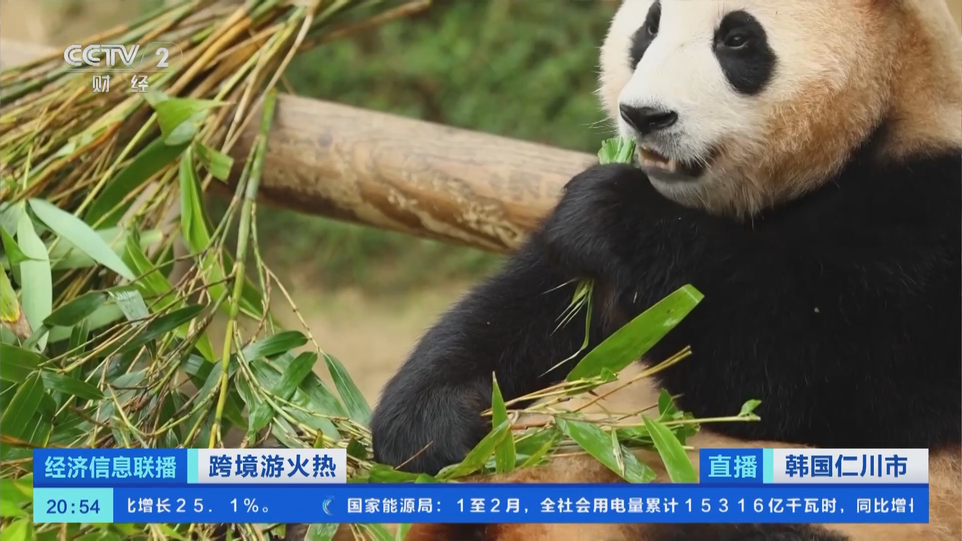 厦金航线春运预计运送旅客超20万人次