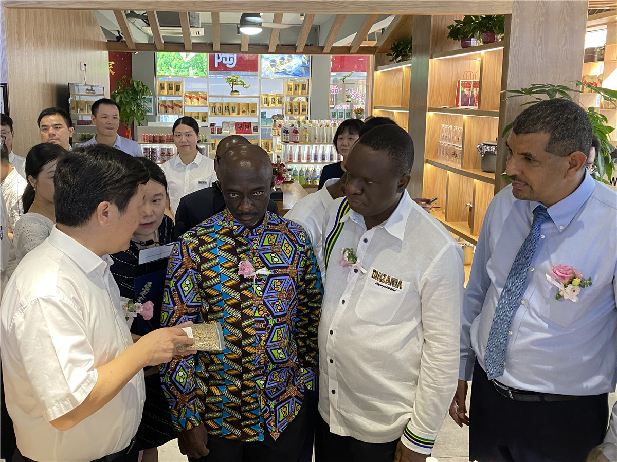 通讯丨非洲咖啡香飘中原古城——从一座咖啡厂看中非经贸合作