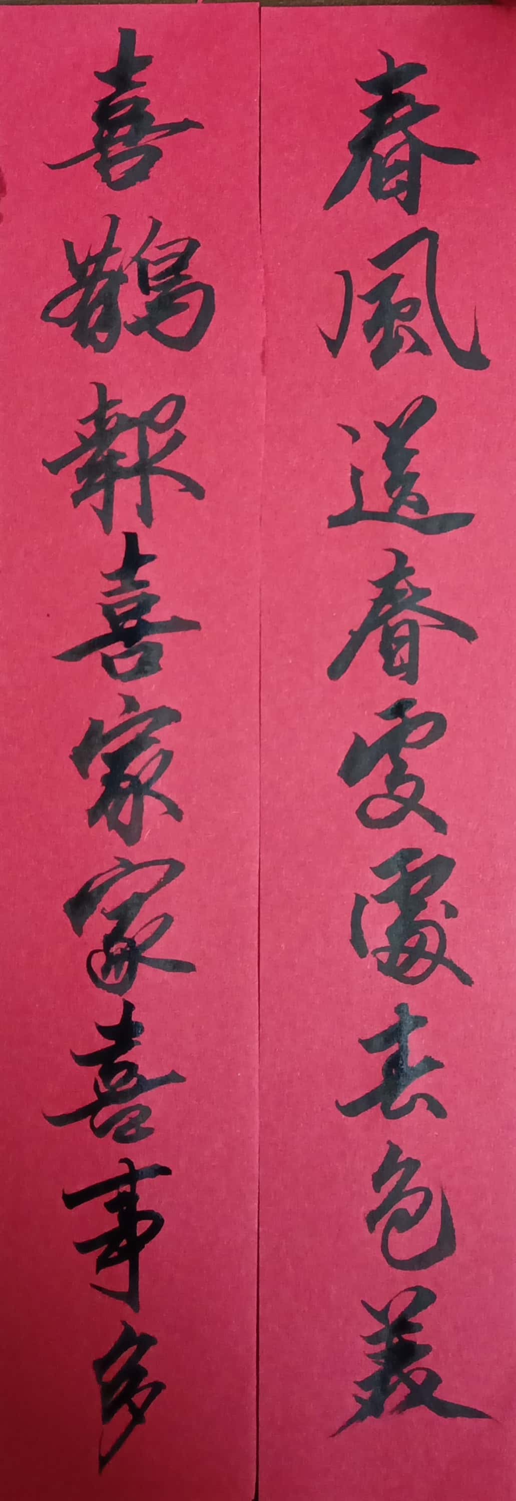 新春走基层｜满载喜与盼 归乡赴春约