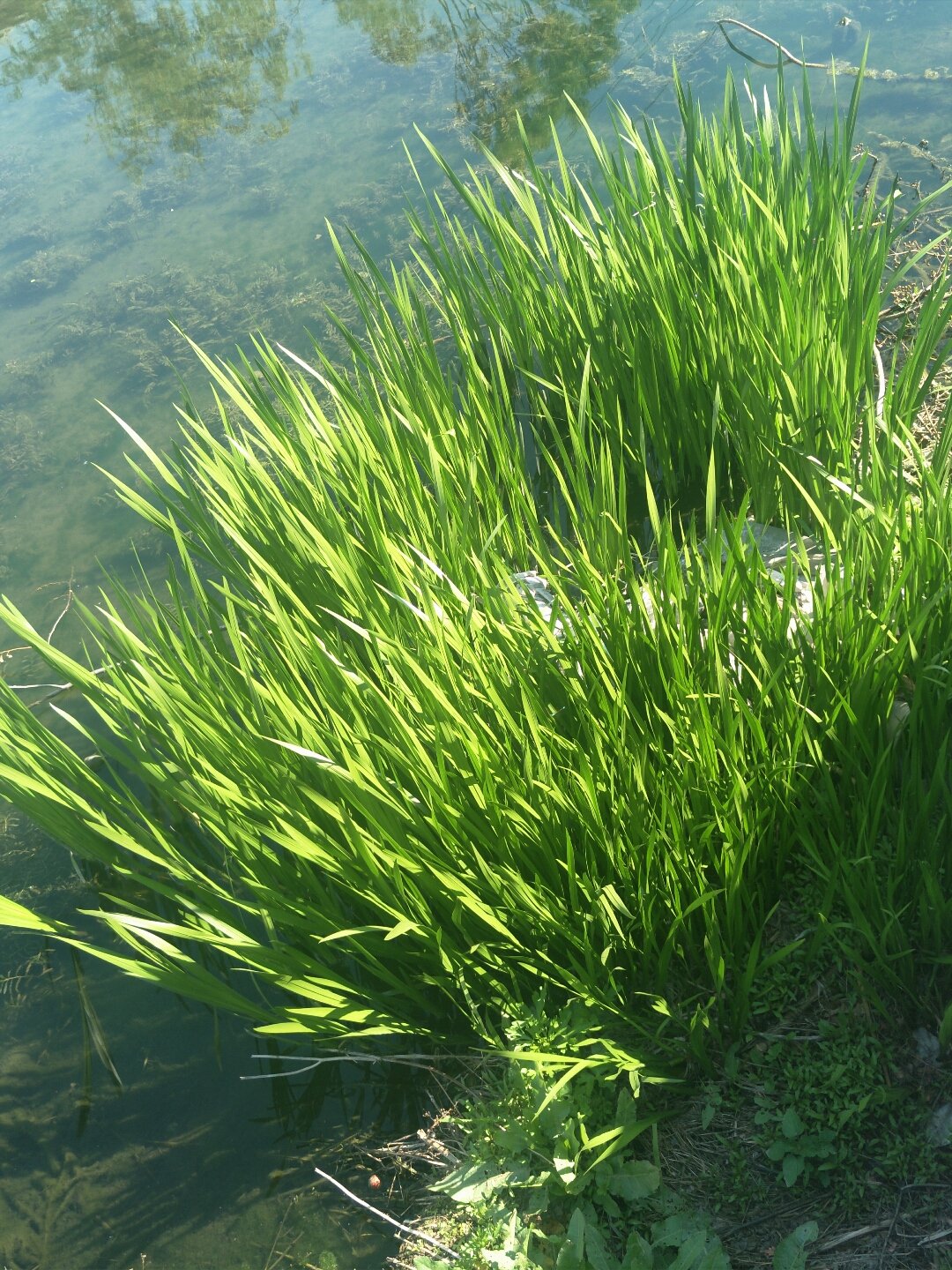 山东济南：充电设施“广覆盖”“高互动”助力绿色出行