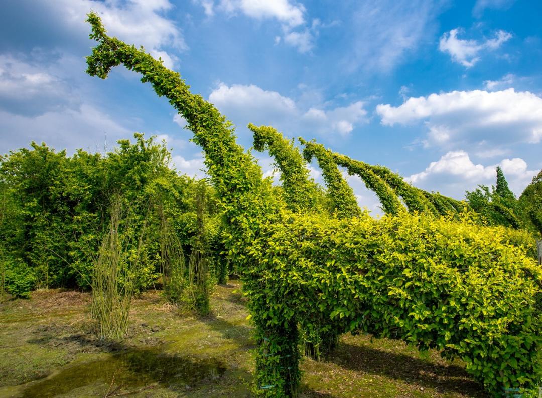 两会受权发布丨李强在政府工作报告中提出，加快推动全面绿色转型