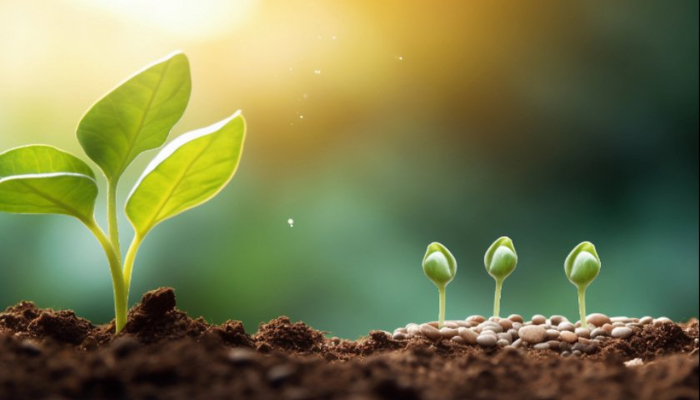 两会受权发布丨李强在政府工作报告中提出，加快推动全面绿色转型