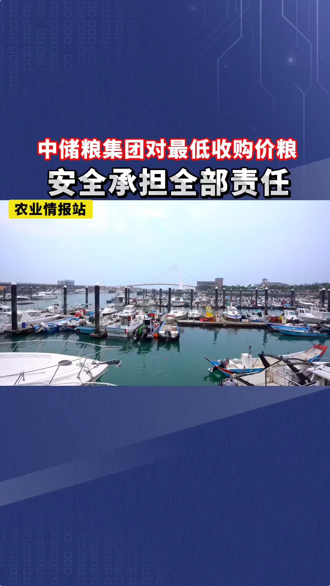 市场最前沿丨中储粮完成2025年中晚稻最低收购价收购工作
