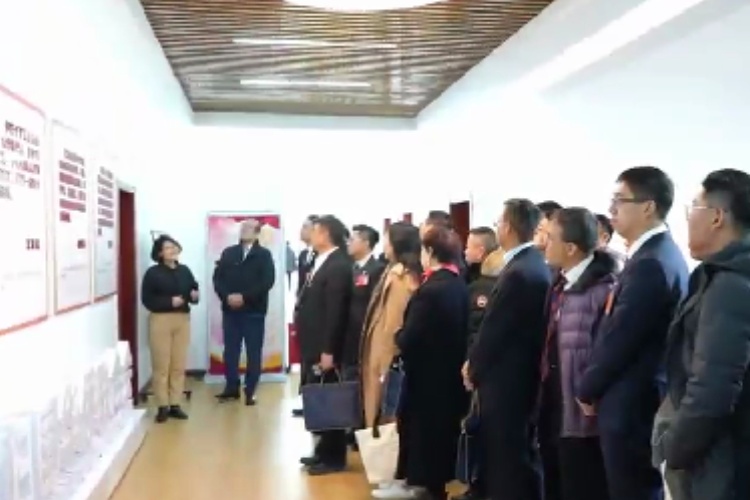 微视频｜共议家国事