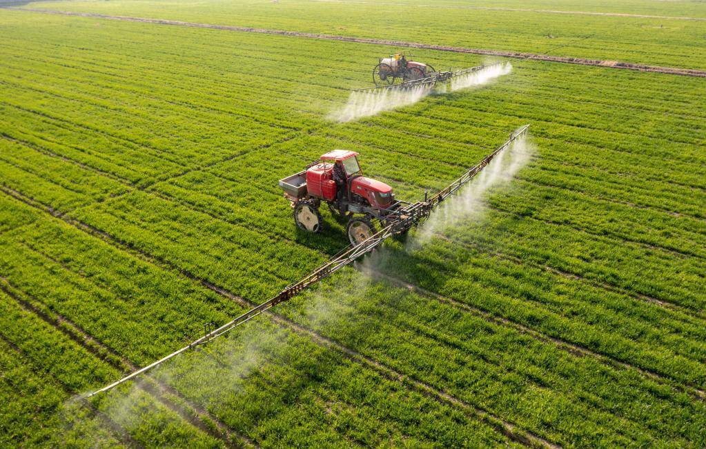 新闻分析丨化肥涨价、春播受困——解读中东局势对全球农业影响