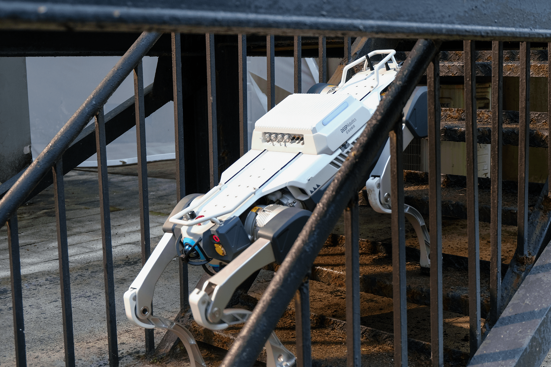 擎天租CEO李一言：锚定具身智能落地风口 打造机器人租赁生态标杆