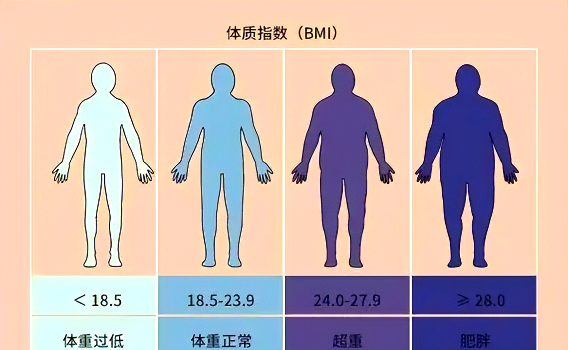 别只盯着体重秤!科学评估和管理健康体重这样做